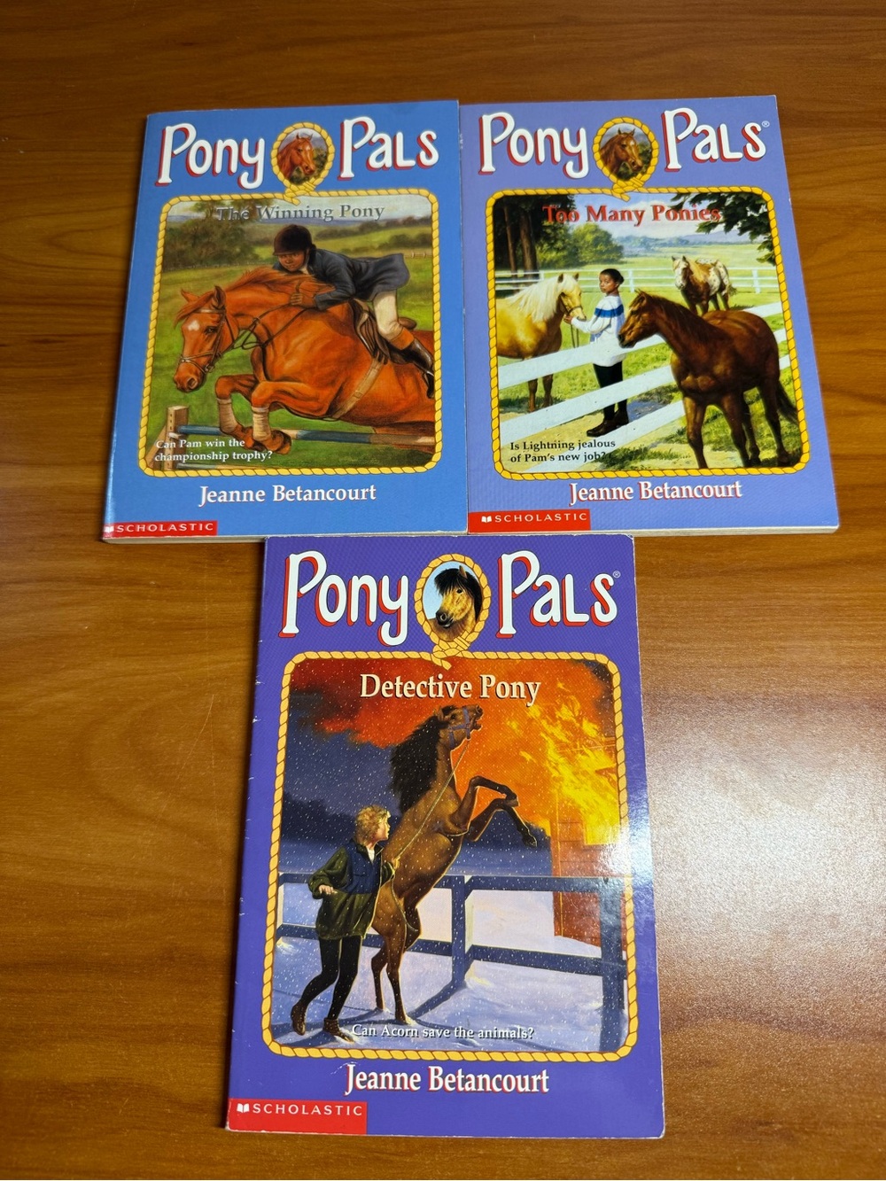 Lot of 3 Pony Pals Chapter Books Youth Jeanne Betancourt Adventure